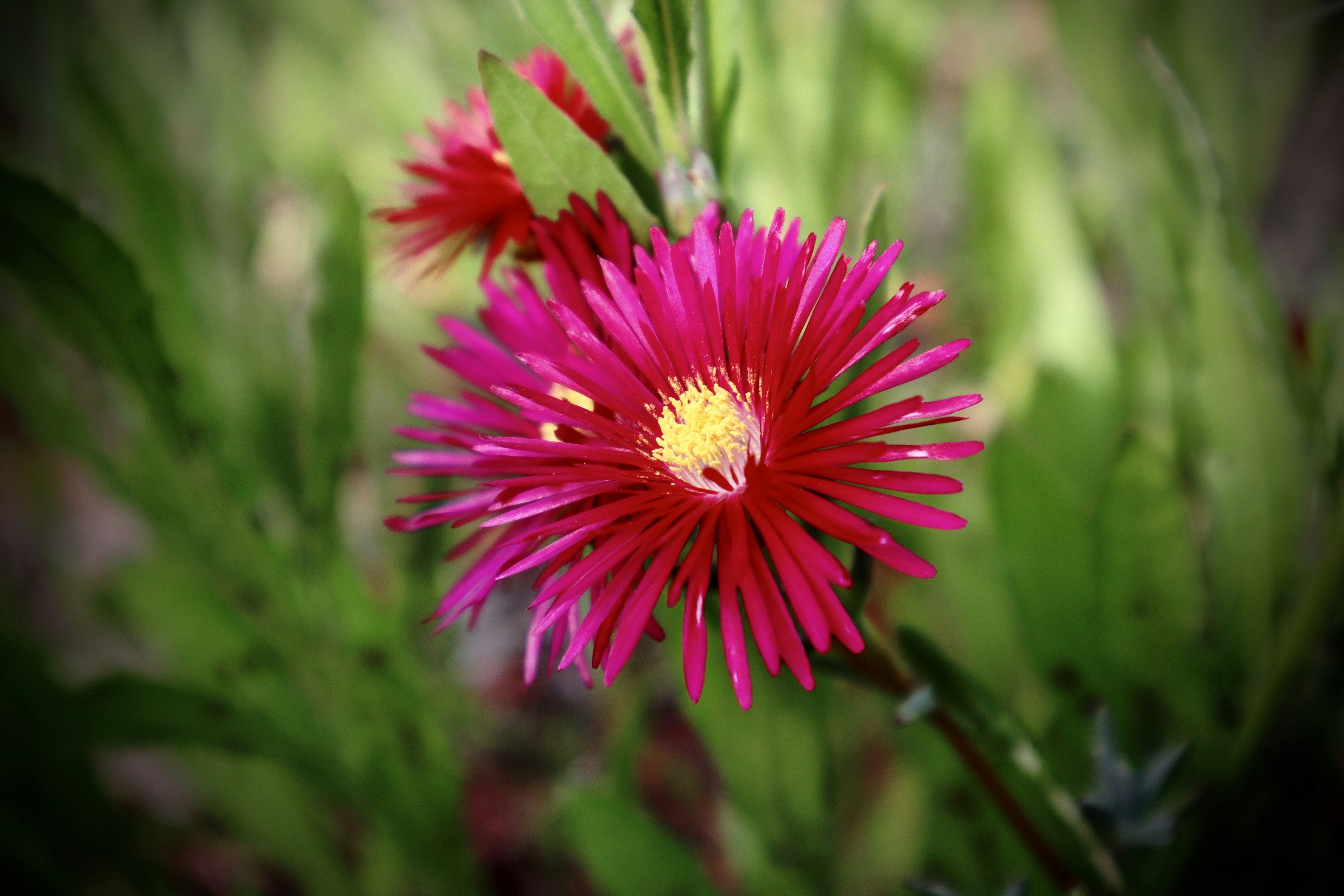 Photo by creationspeaks