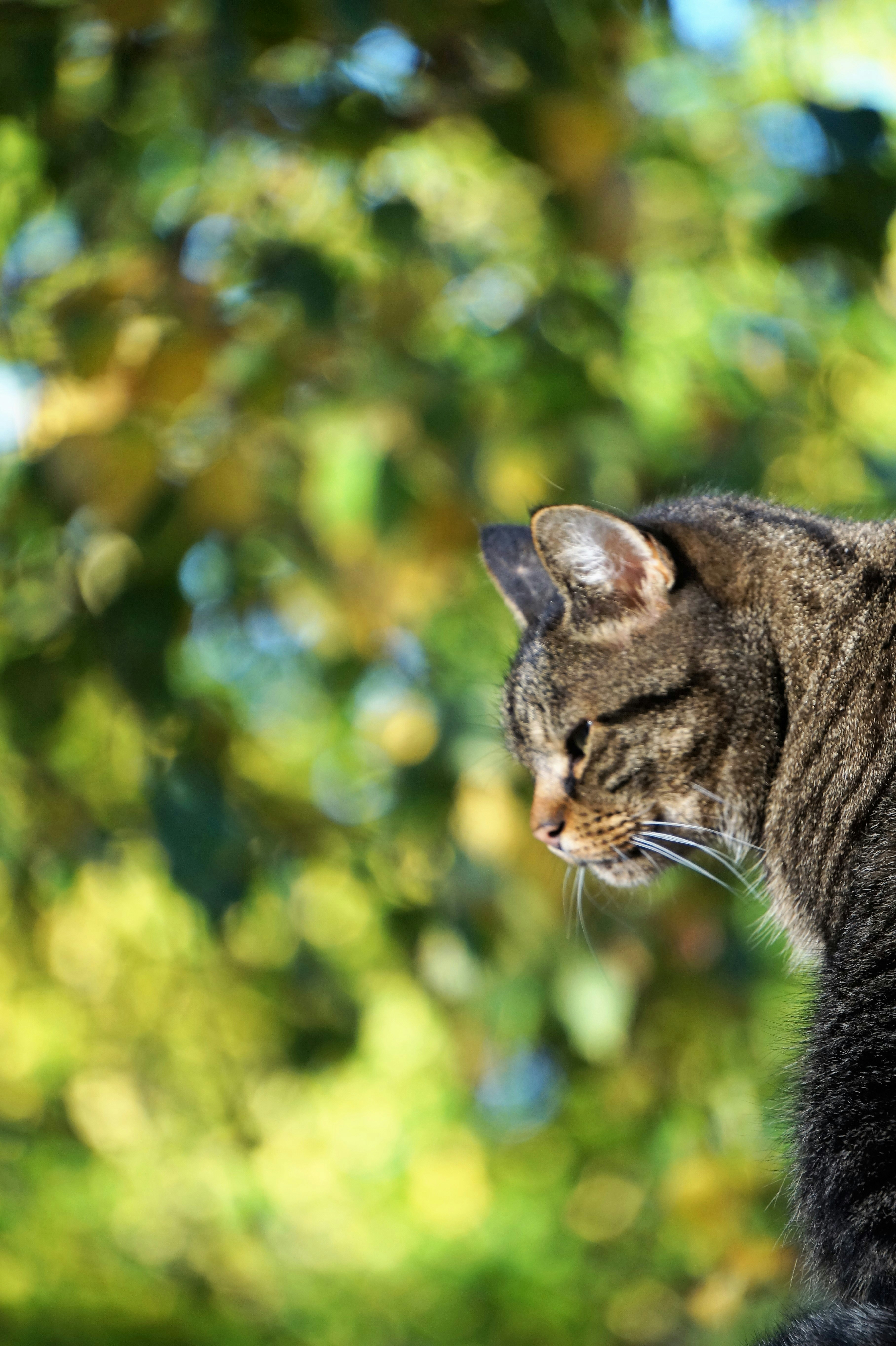 Photo by bengtknutsson