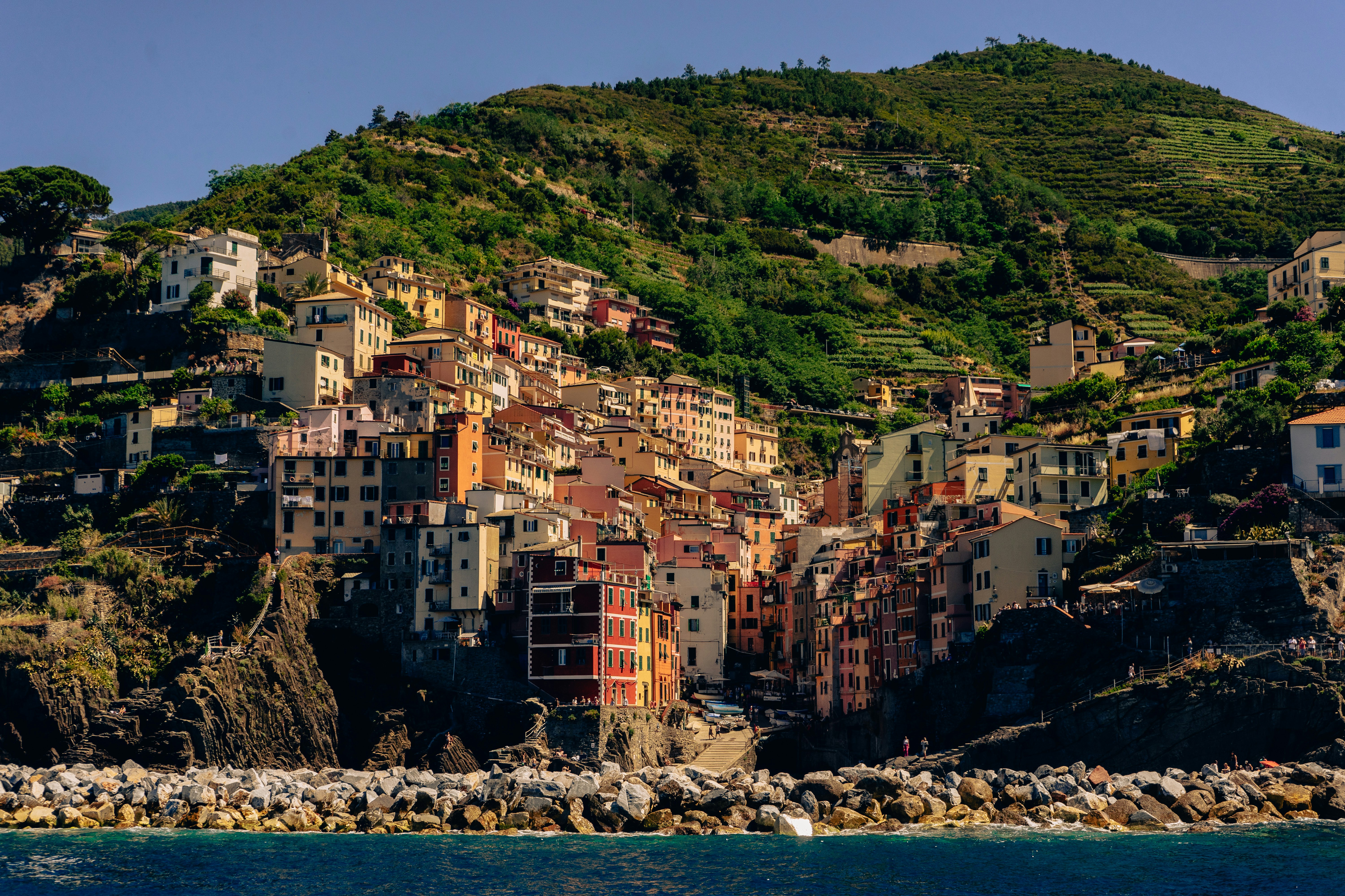 Photo by virussinside