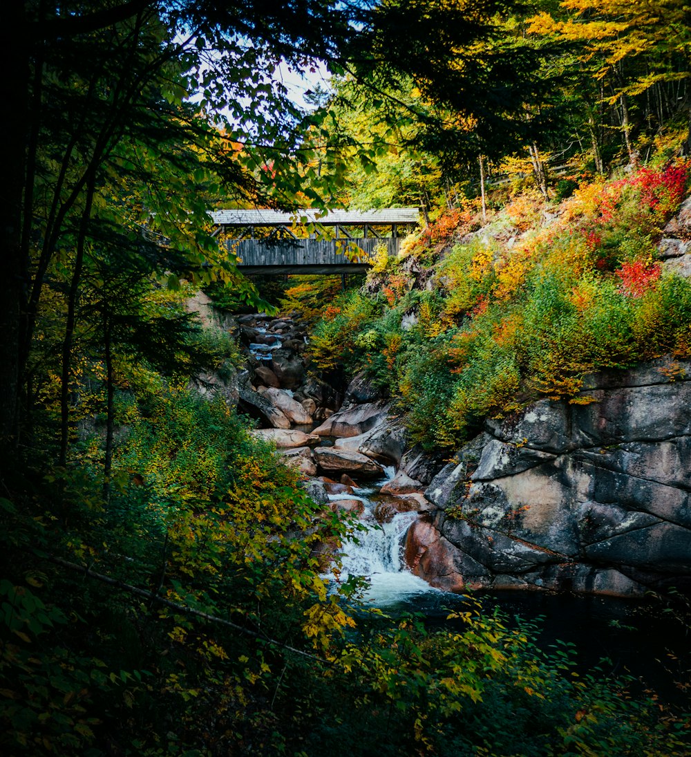 a bridge over a river