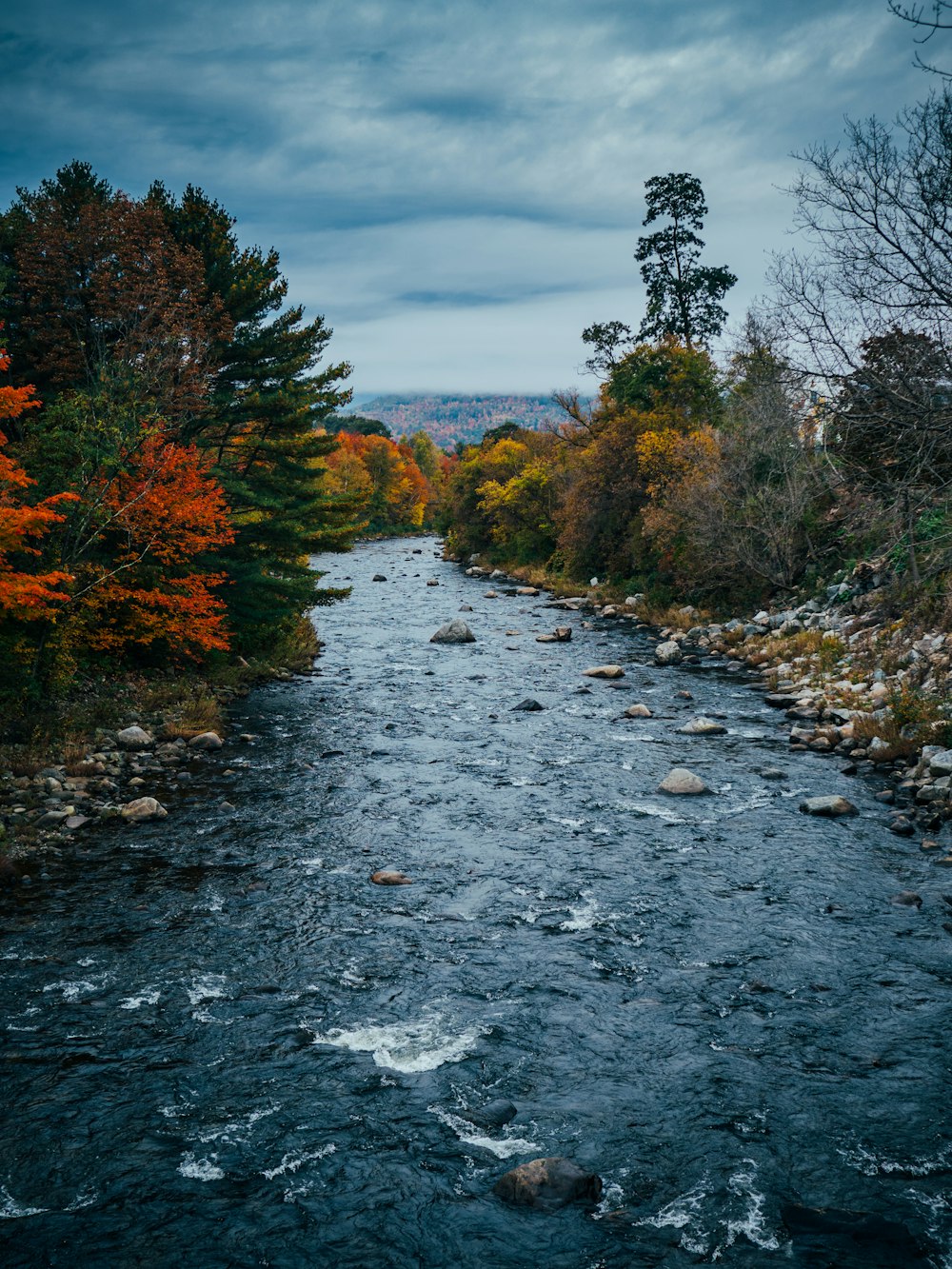 a river with rocks and trees