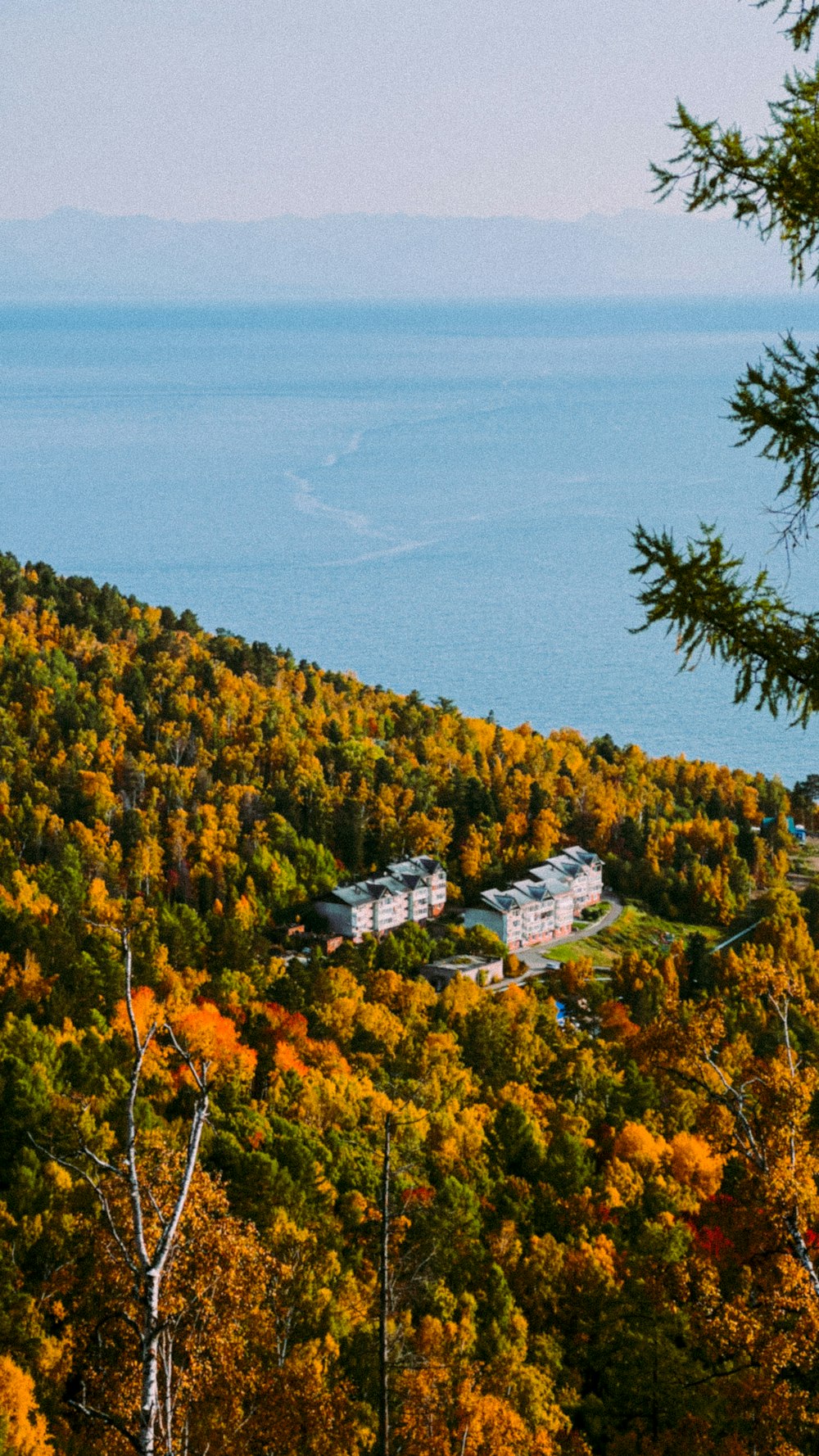 a view of a town and the ocean from a hill