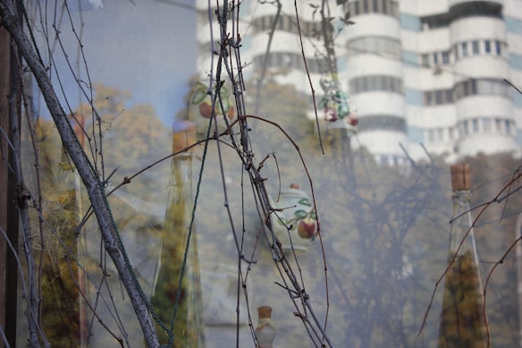 A reflection composition features bare, intertwined branches against a window. Bottles displayed behind the glass and the faint, distorted reflection of a modern, multi-story building create a layered visual effect. The scene captures the changing seasons with hints of autumnal colors.
