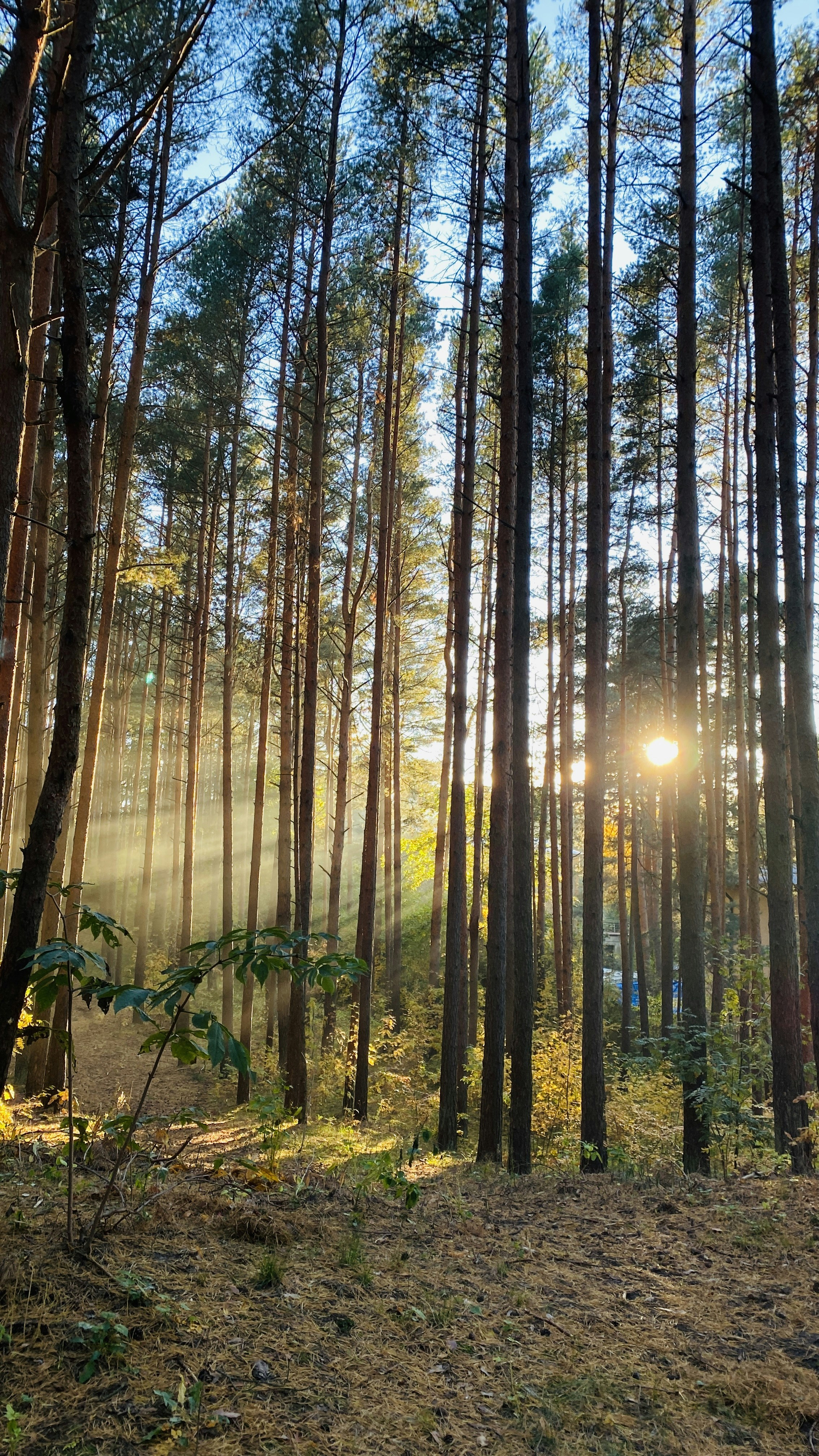 Photo by natalimiller