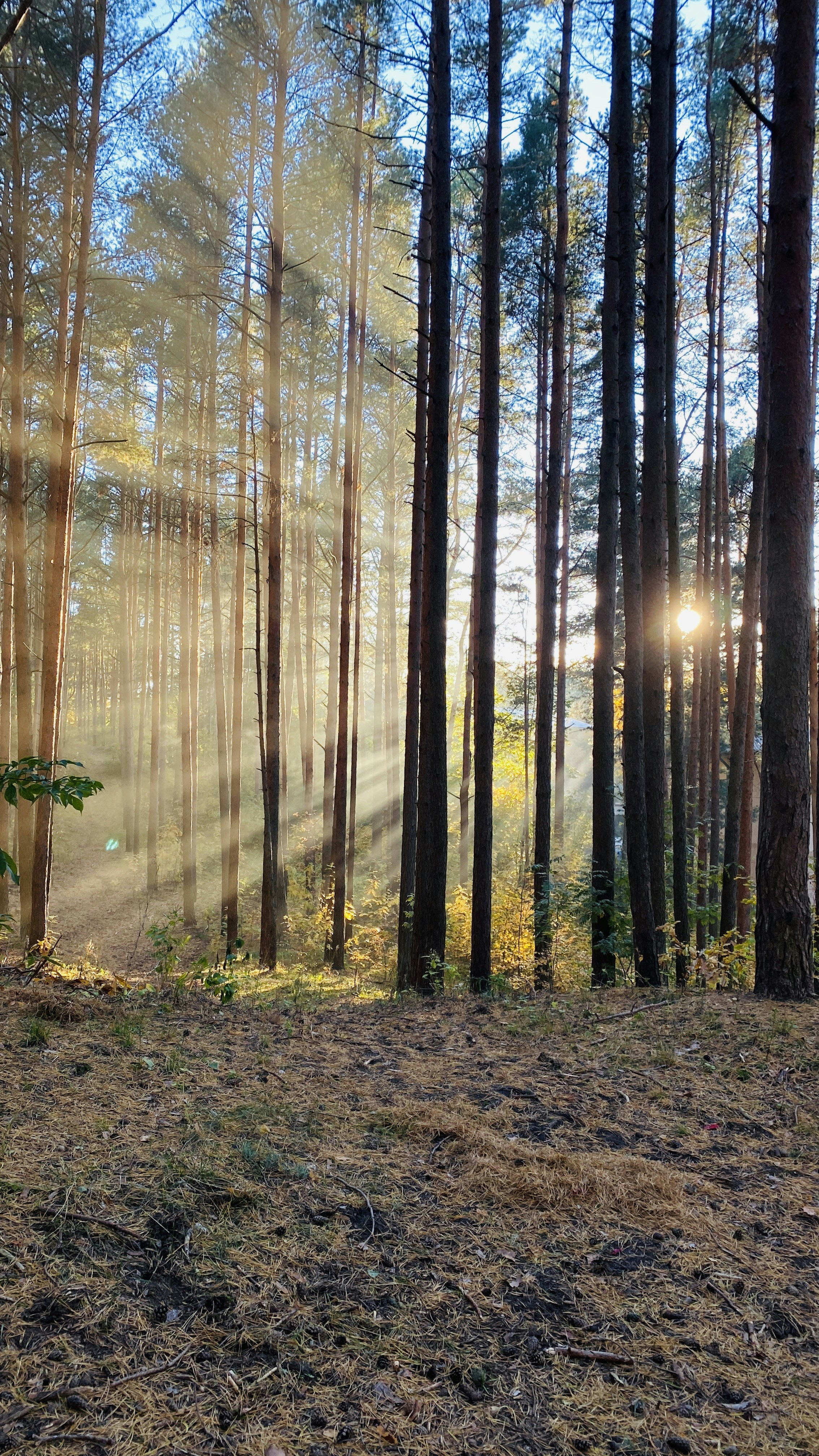 Photo by natalimiller