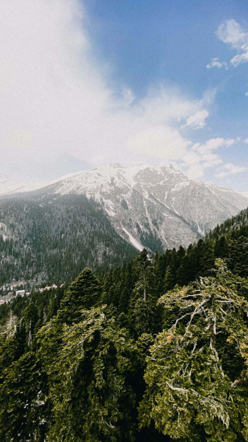 a mountain with trees and a waterfall