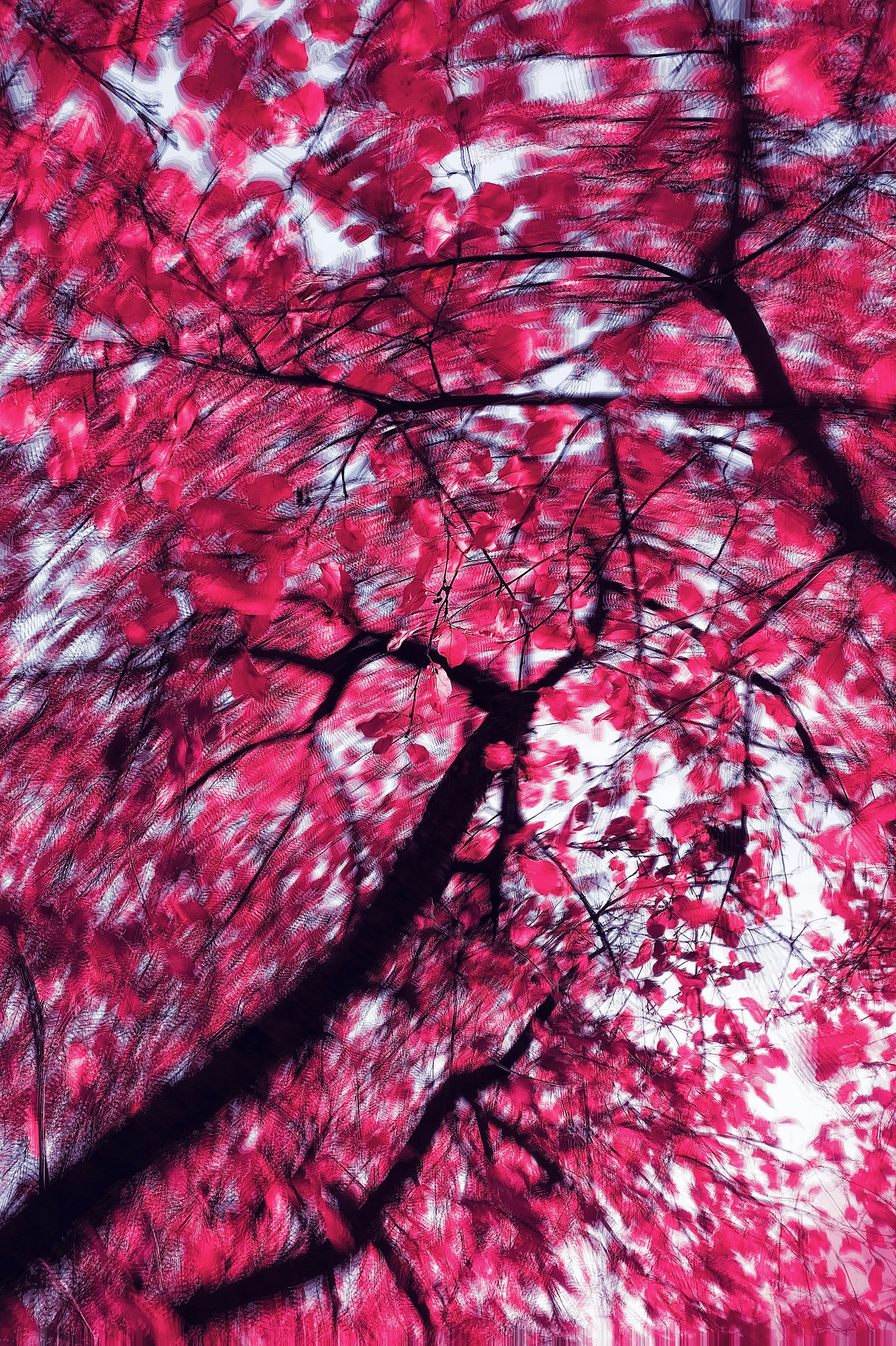 Photo by eugene_golovesov