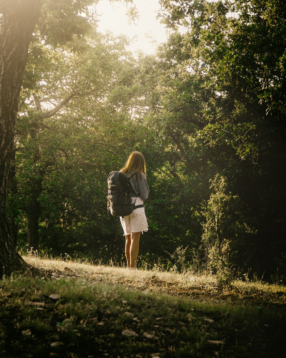 una persona che cammina nel bosco