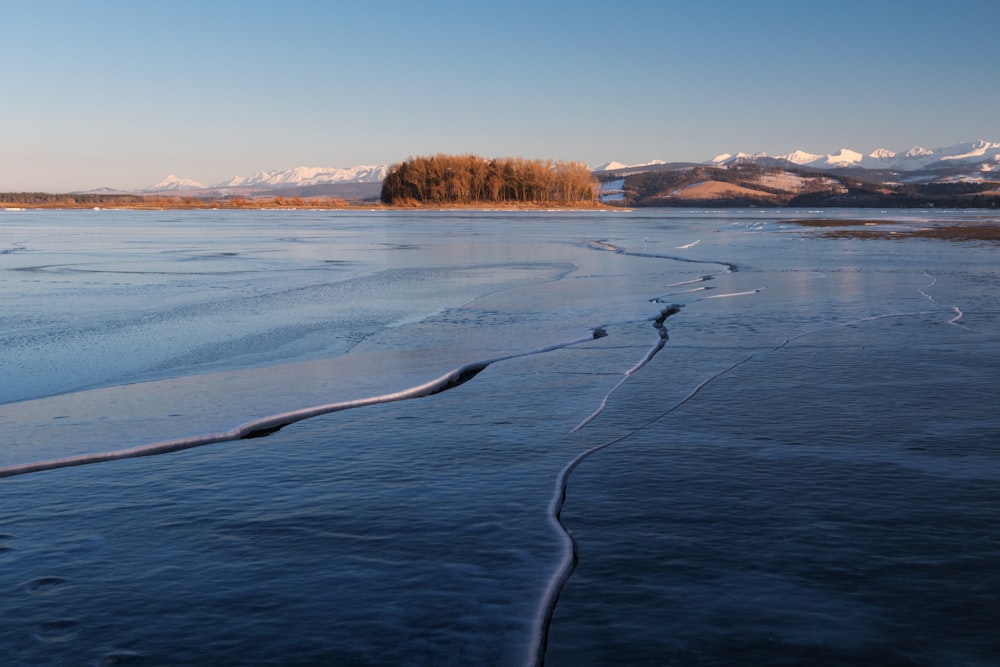 a body of water with snow and trees in the background