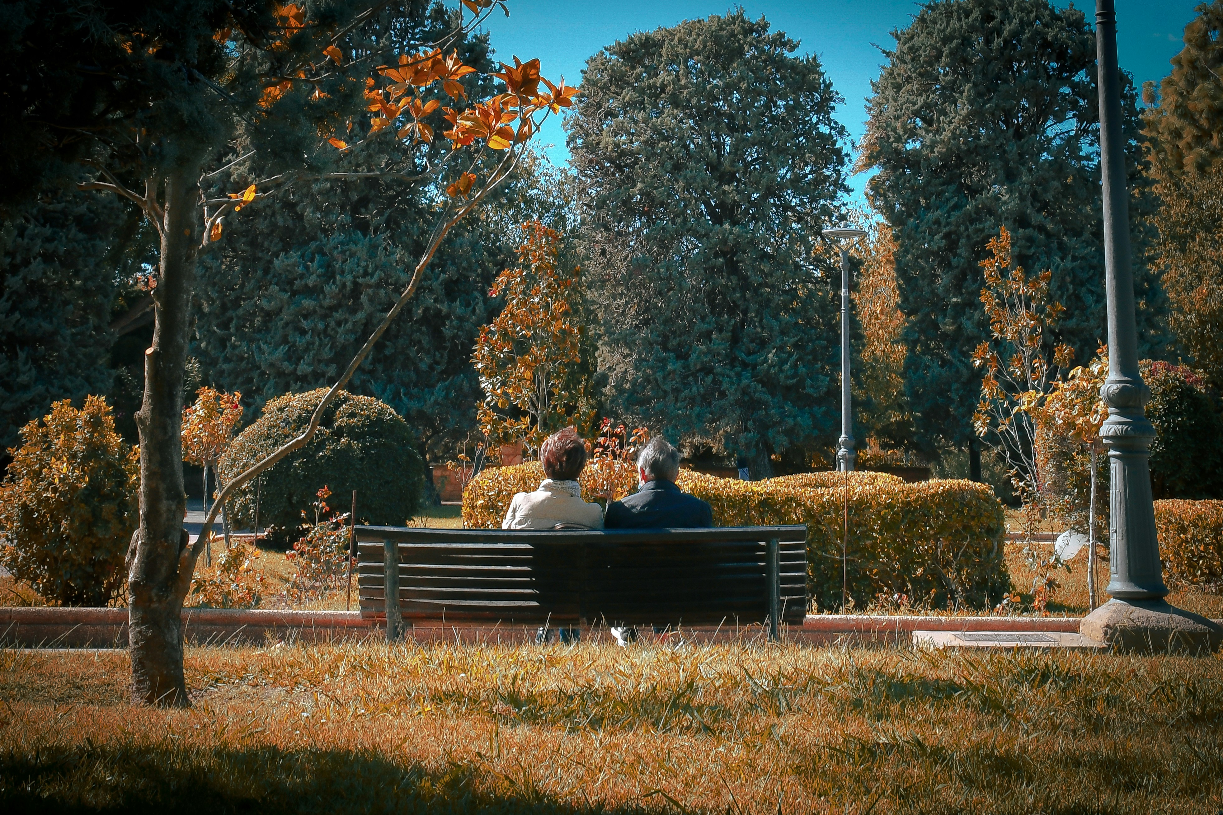 a couple sitting on a bench