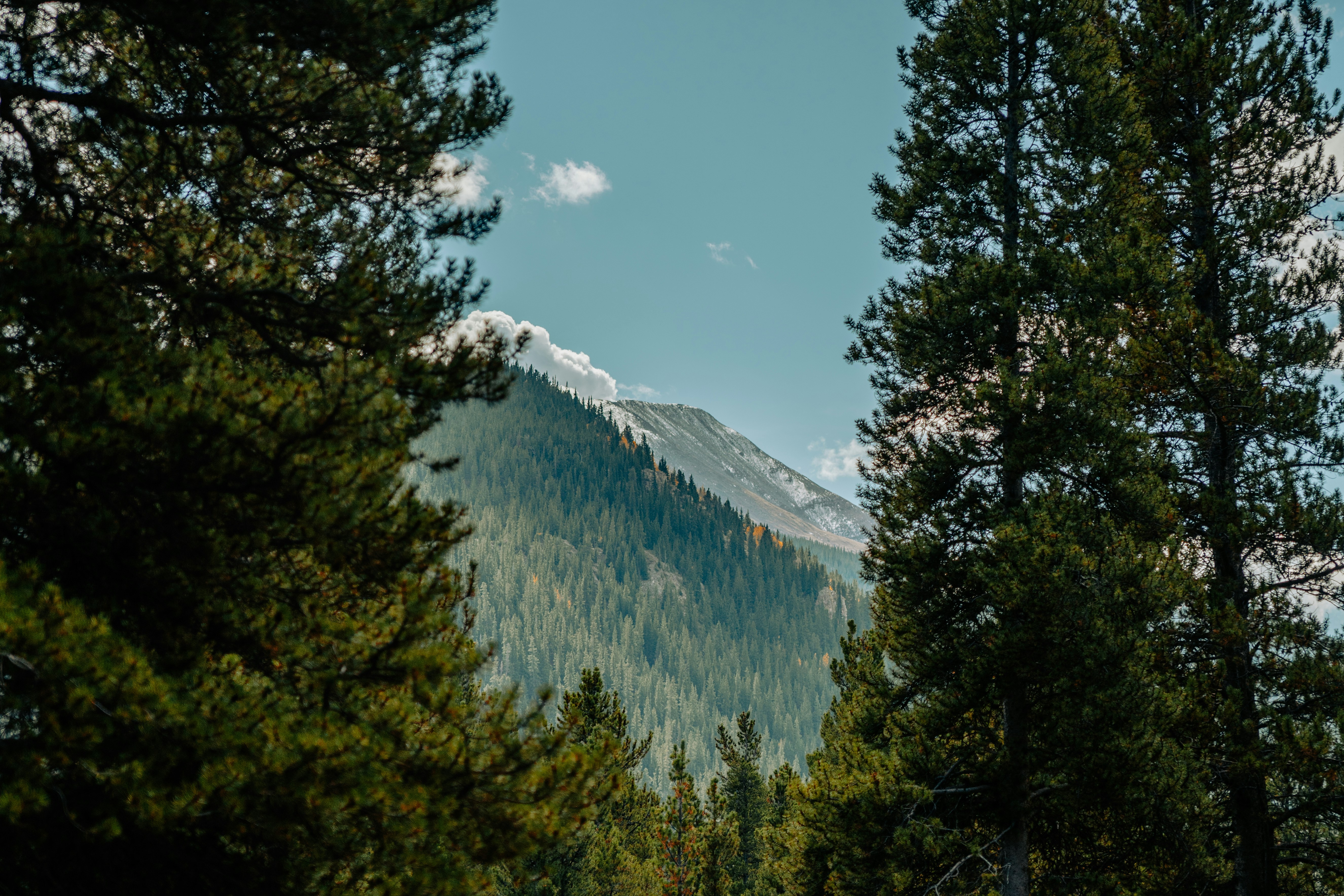 Photo by colemangloverphotography