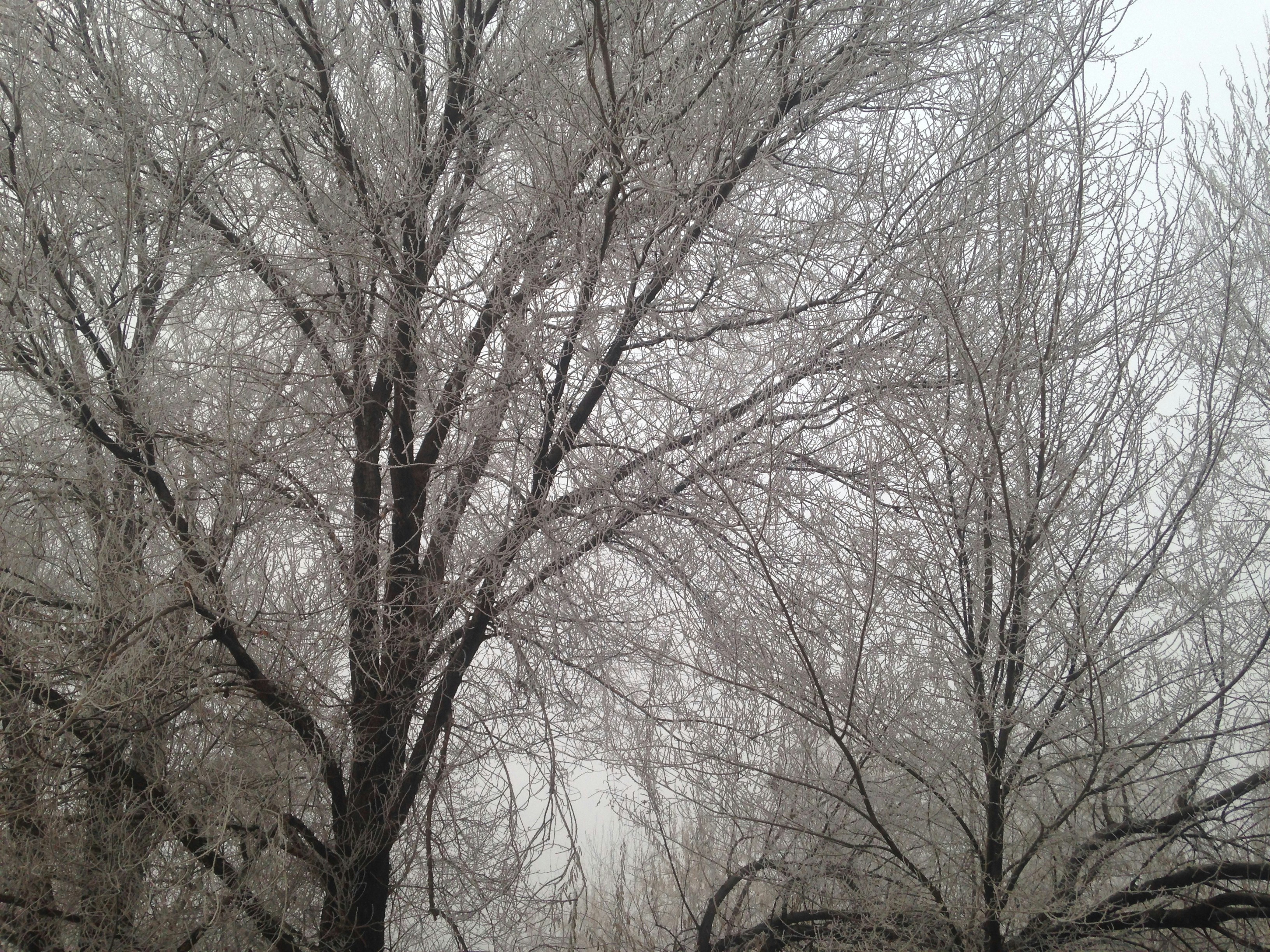 Photo by tyler_mower