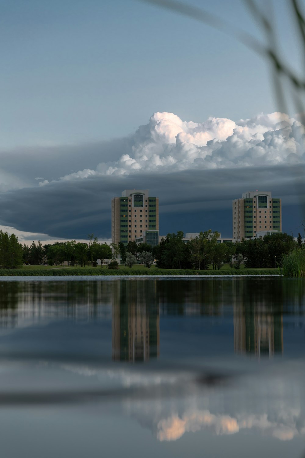 a body of water with buildings and trees around it