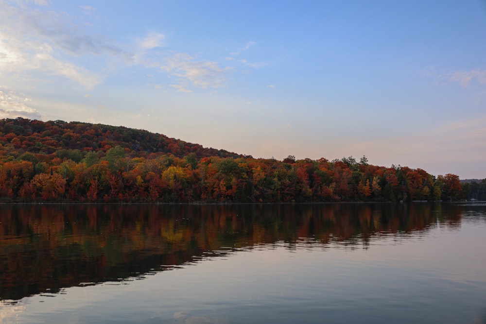 a body of water with trees around it