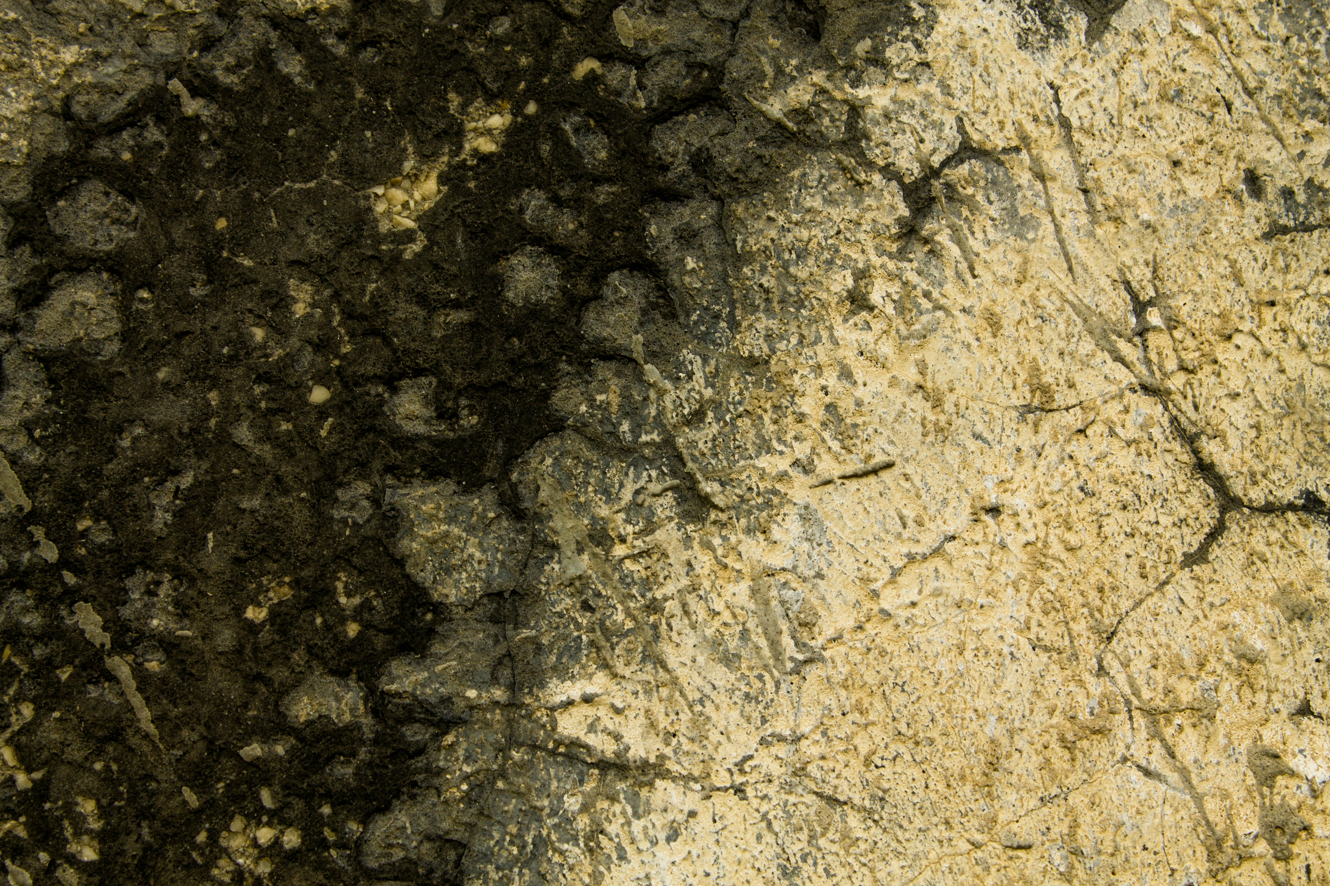 Photo by salcrocejpg