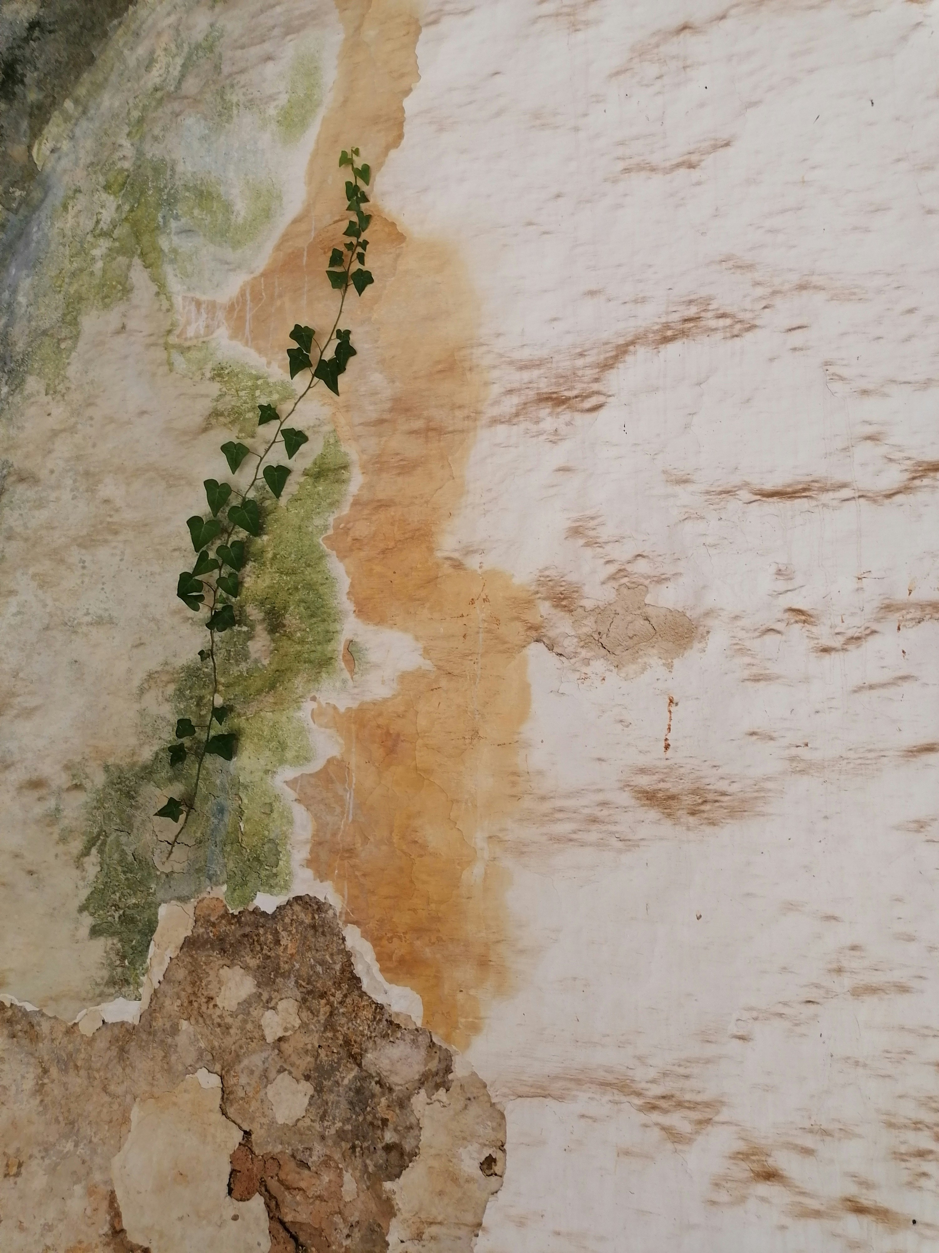 Nature landscape wallpaper, Forest trees wallpaper, Beach sunset wallpaper, Mountain range wallpaper, ilustrasi artikel Say 