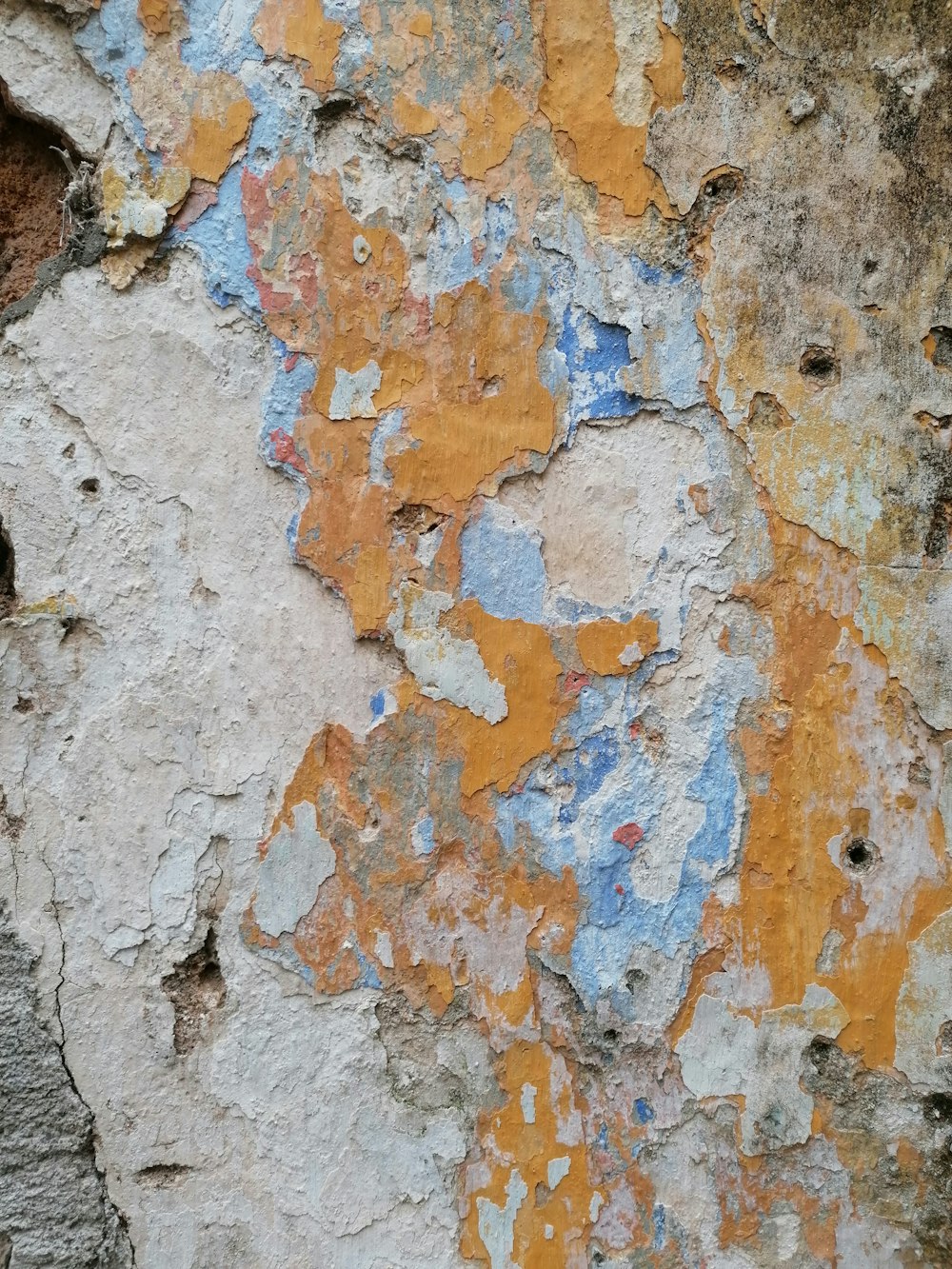 um close up de uma rocha