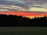 A stunning sunset over a forested horizon, with vibrant red and orange hues blending into a pale yellow and blue sky. The silhouette of dense trees forms a dark contrast against the colors, while a grassy field occupies the foreground.