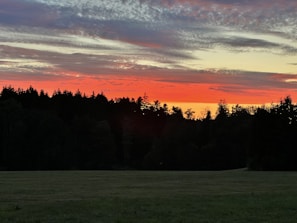 A stunning sunset over a forested horizon, with vibrant red and orange hues blending into a pale yellow and blue sky. The silhouette of dense trees forms a dark contrast against the colors, while a grassy field occupies the foreground.