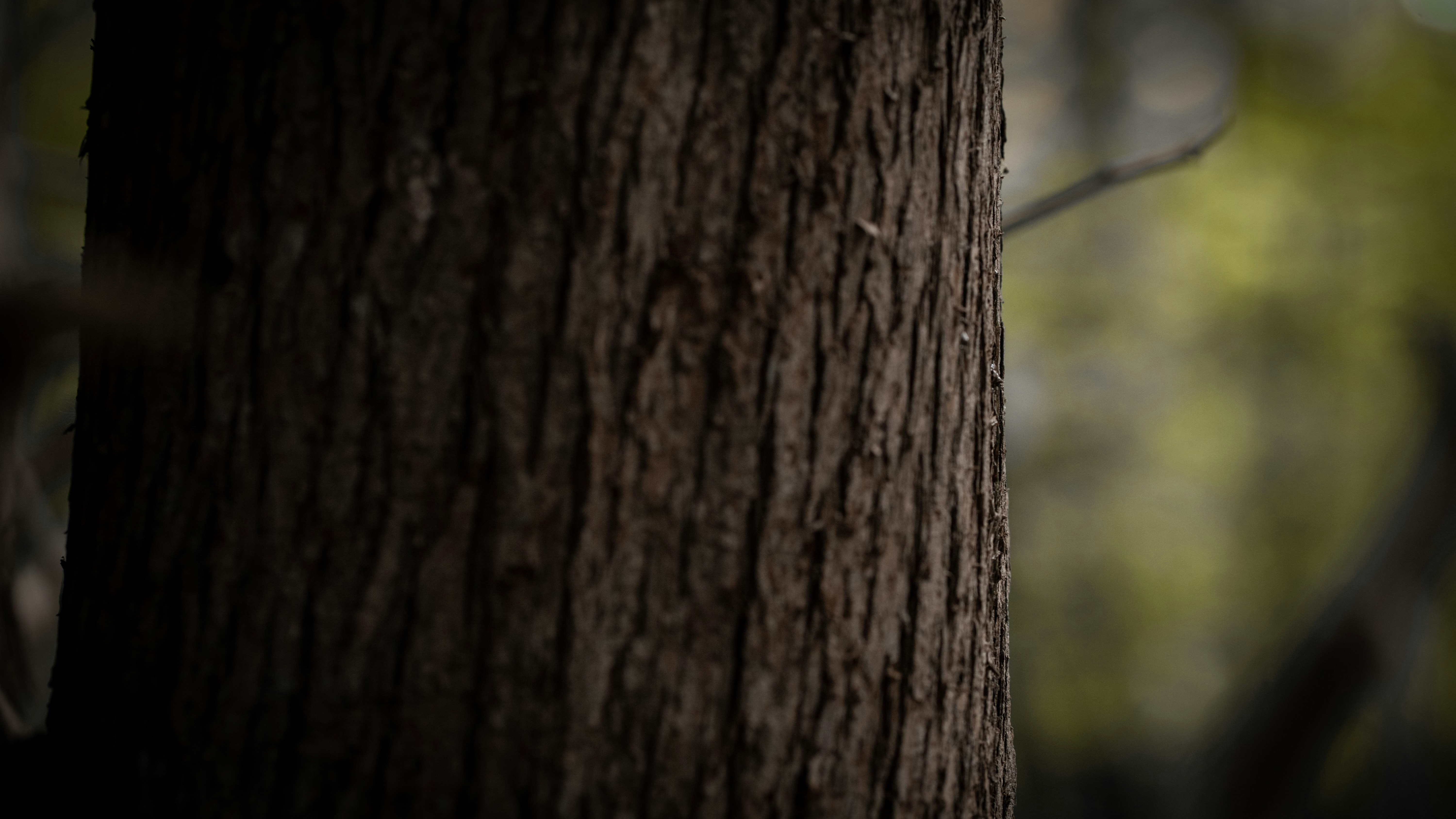 Photo by johnsmithphotography