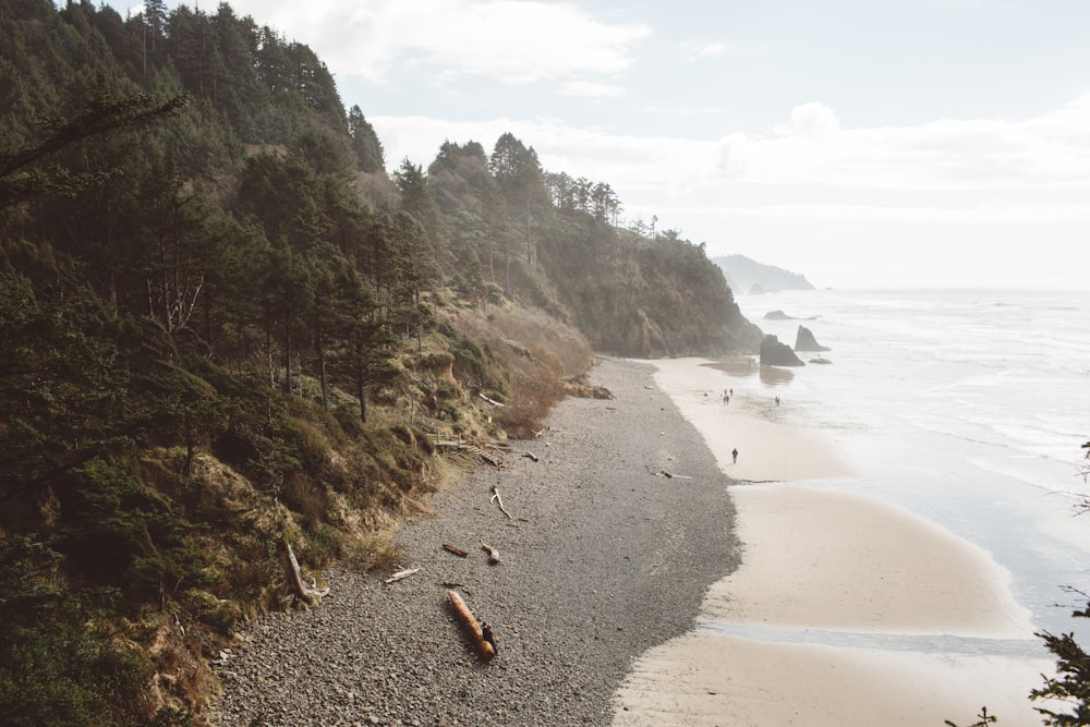 a beach with trees and rocks