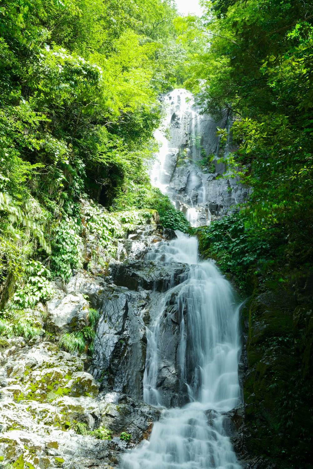 a waterfall in a forest