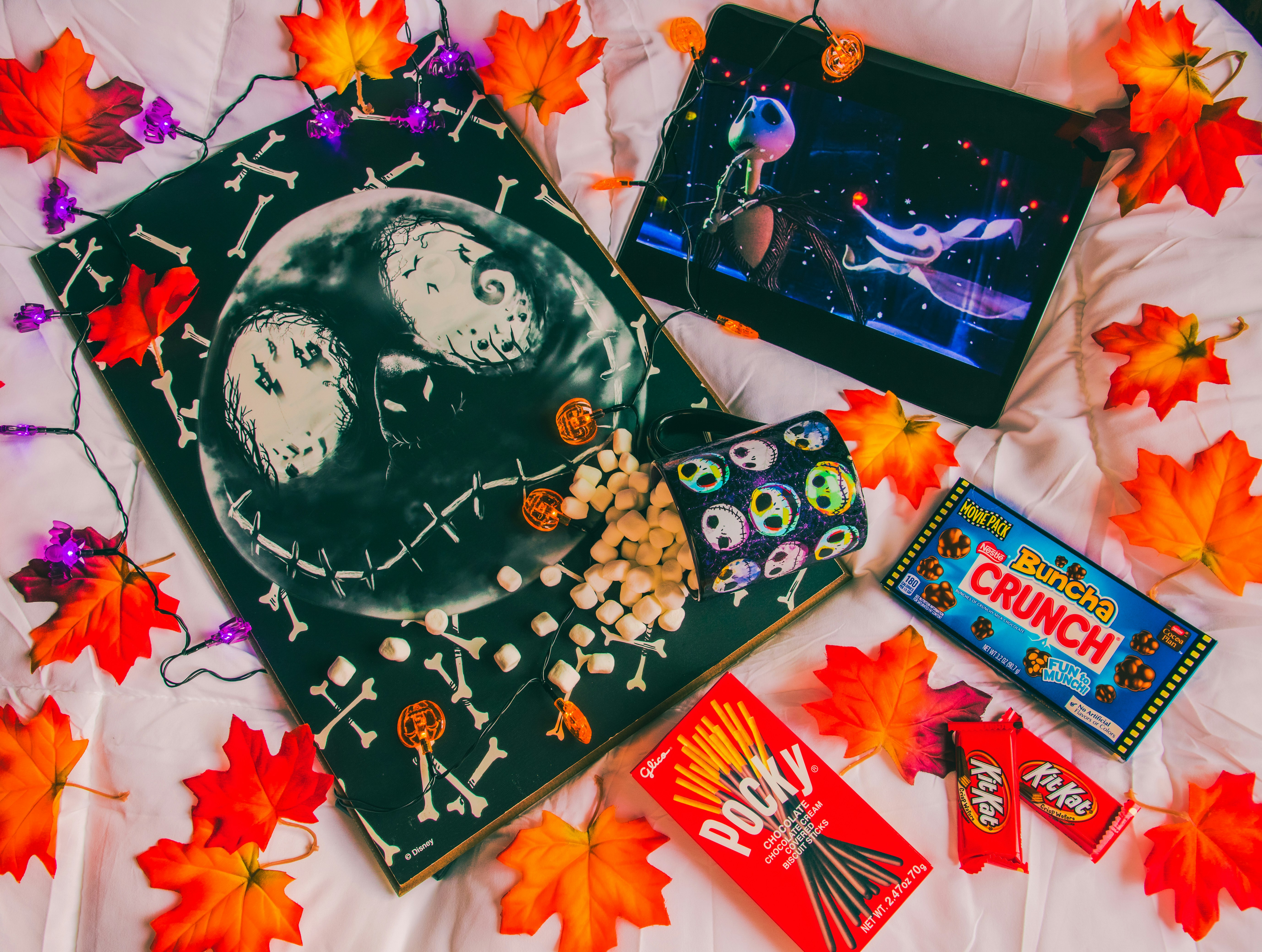 a group of objects on a surface