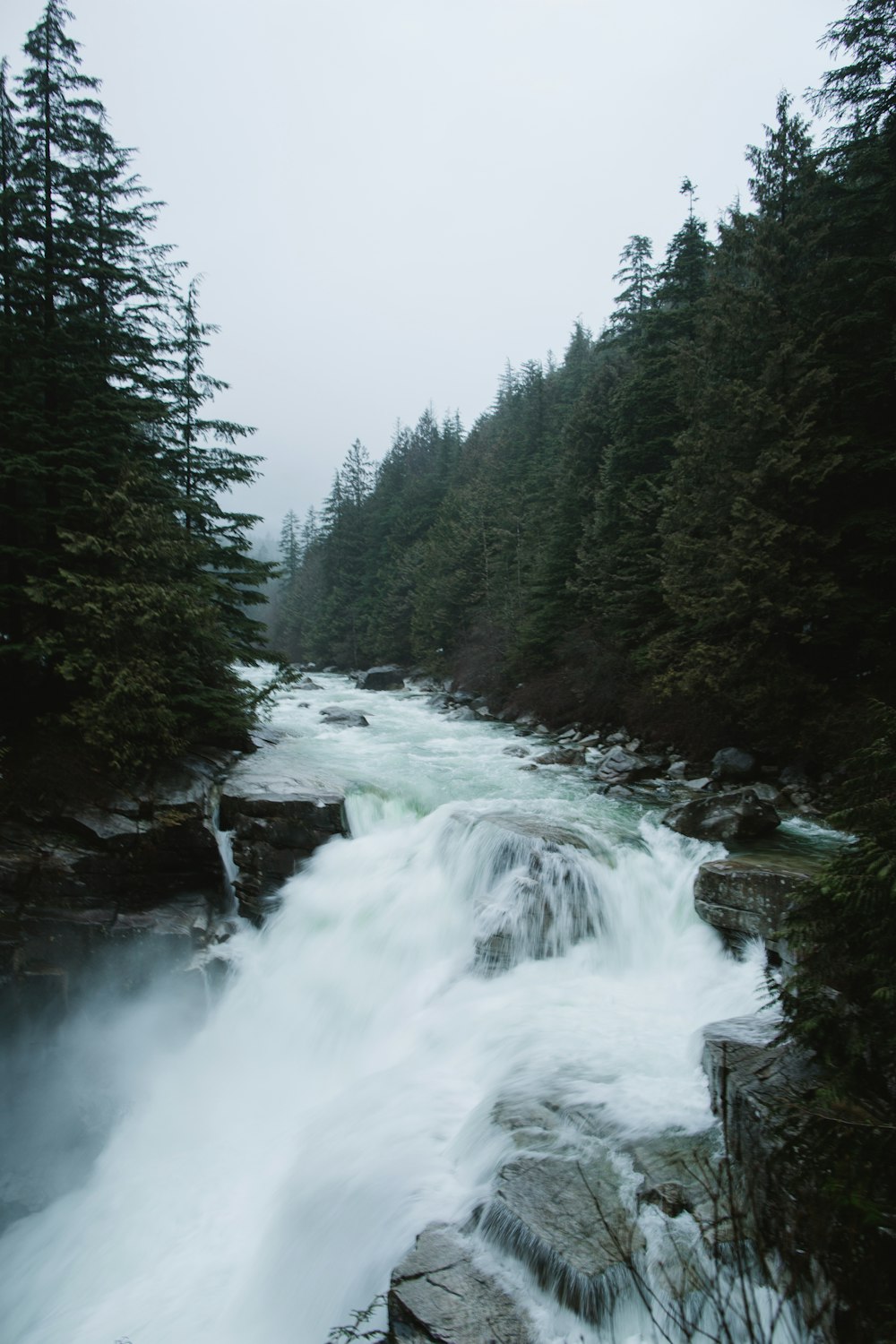 a river with Bow Falls and trees