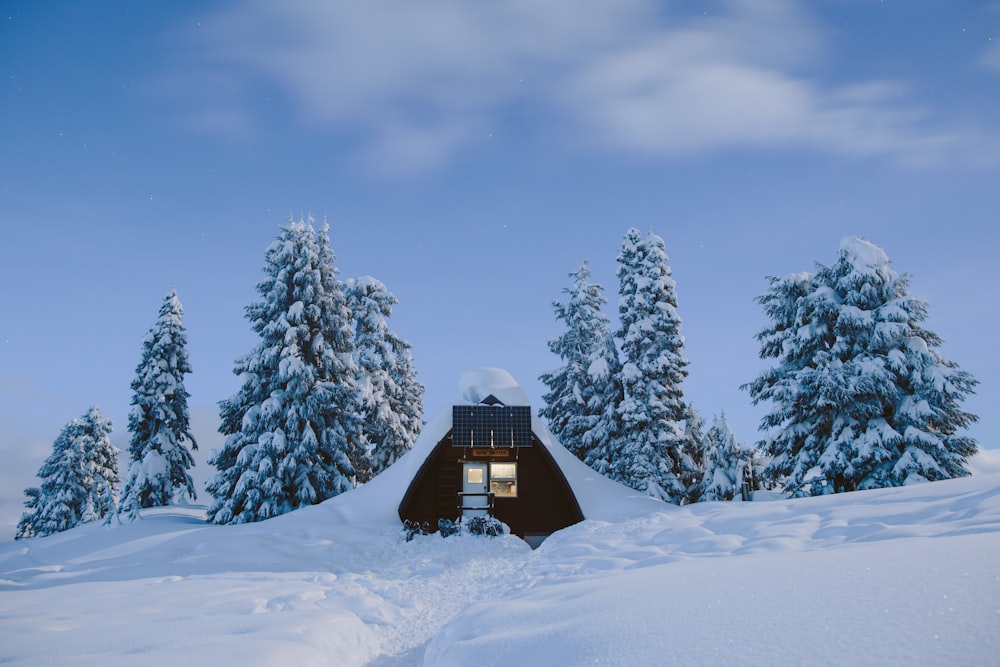 a cabin in the snow