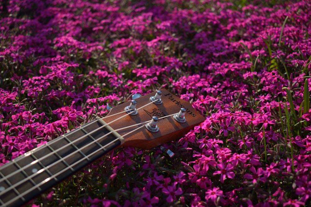 a staircase surrounded by purple flowers