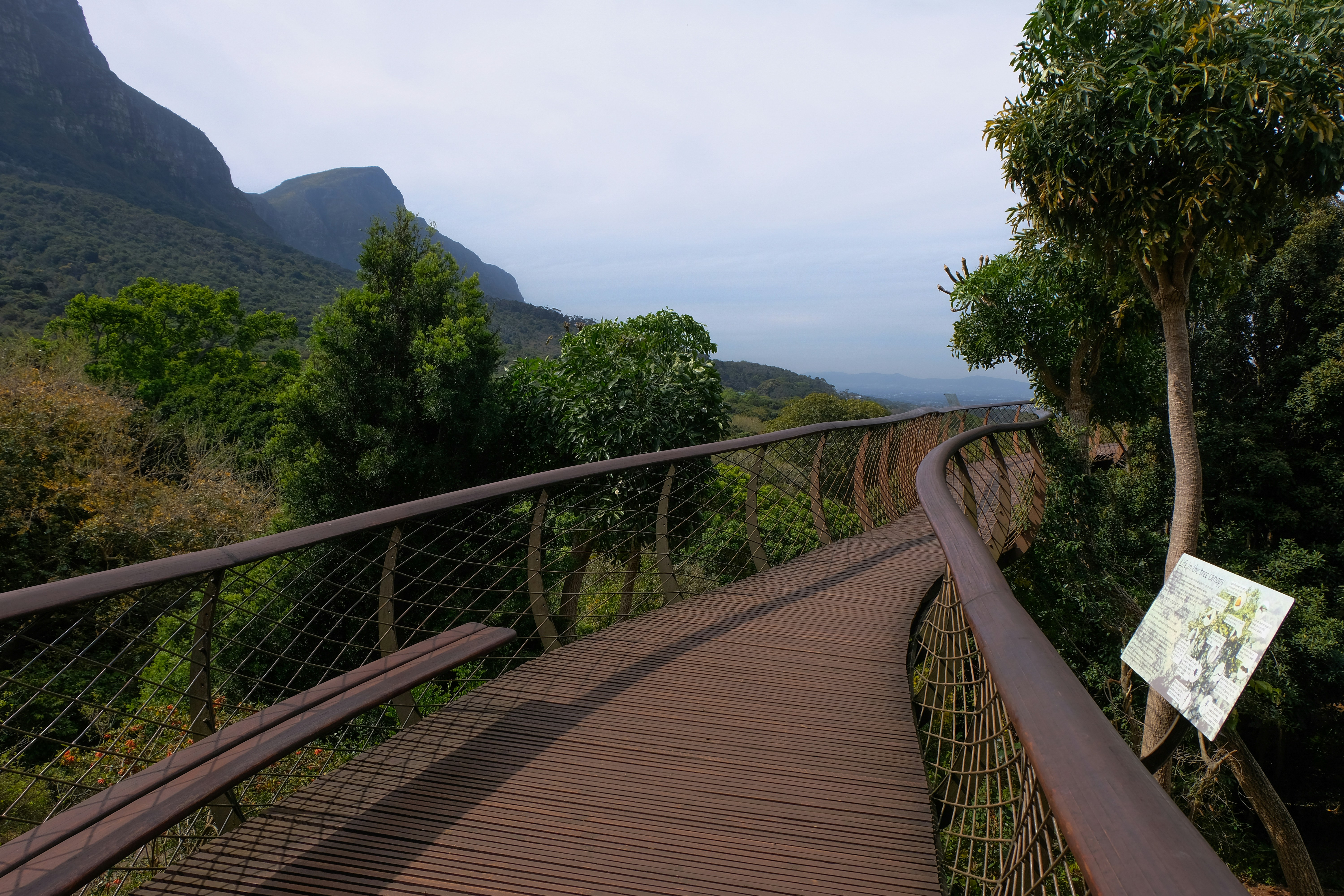 a wooden bridge over a river