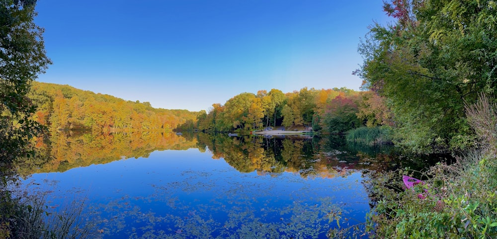 a body of water surrounded by trees