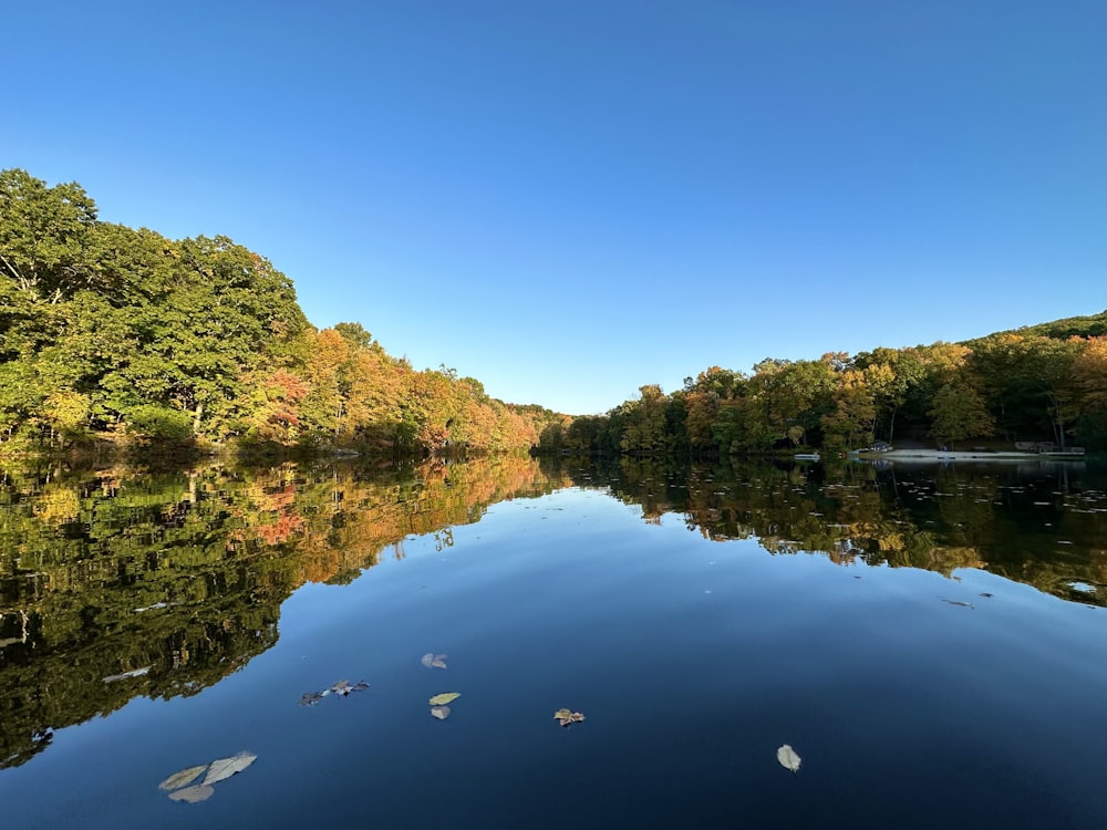 a body of water surrounded by trees