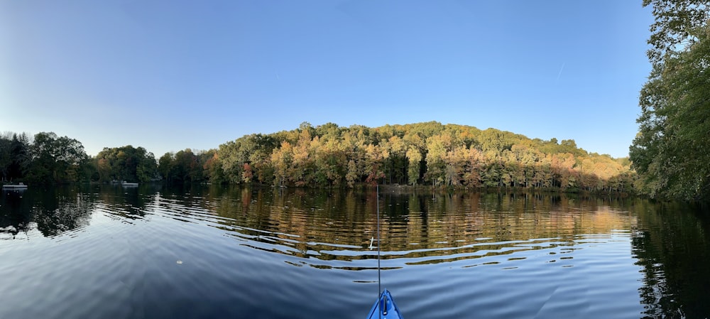 a body of water with trees around it