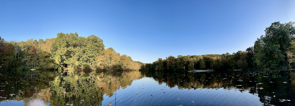 a body of water with trees around it