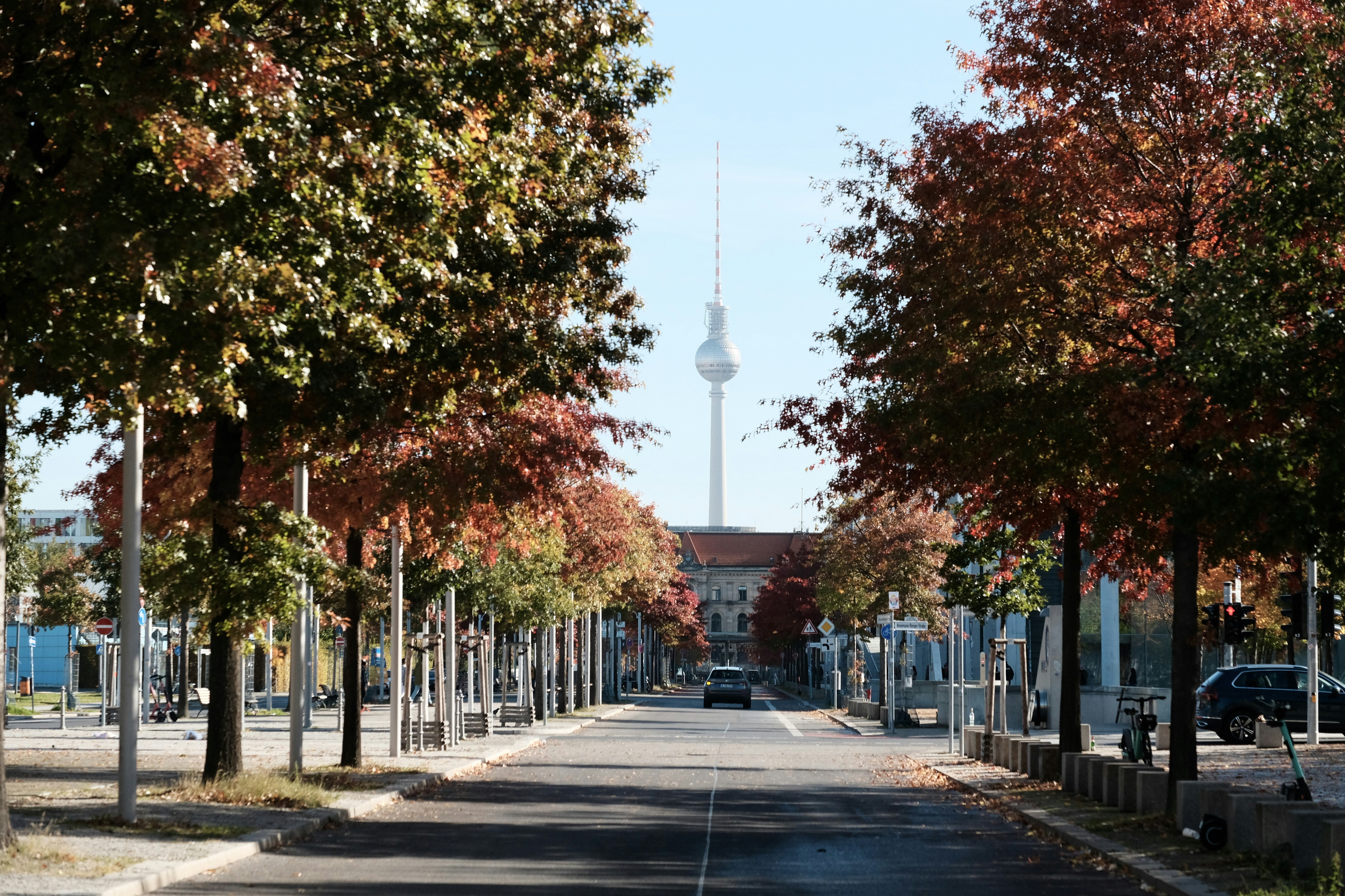 a street with trees and buildings on the side