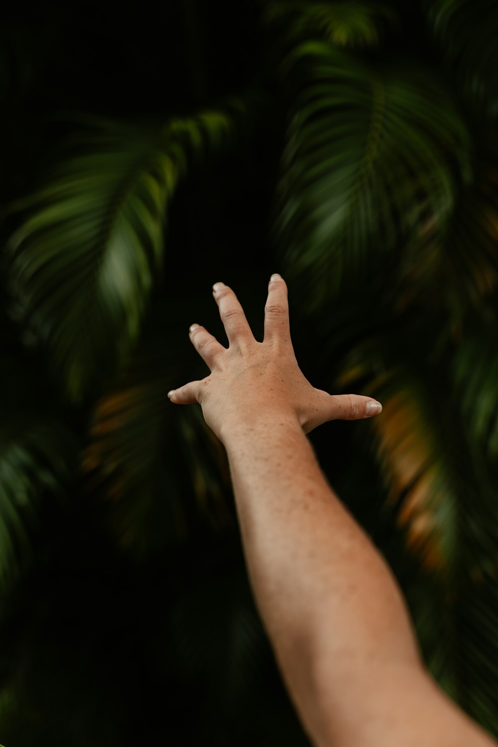 a hand with a palm tree in the background