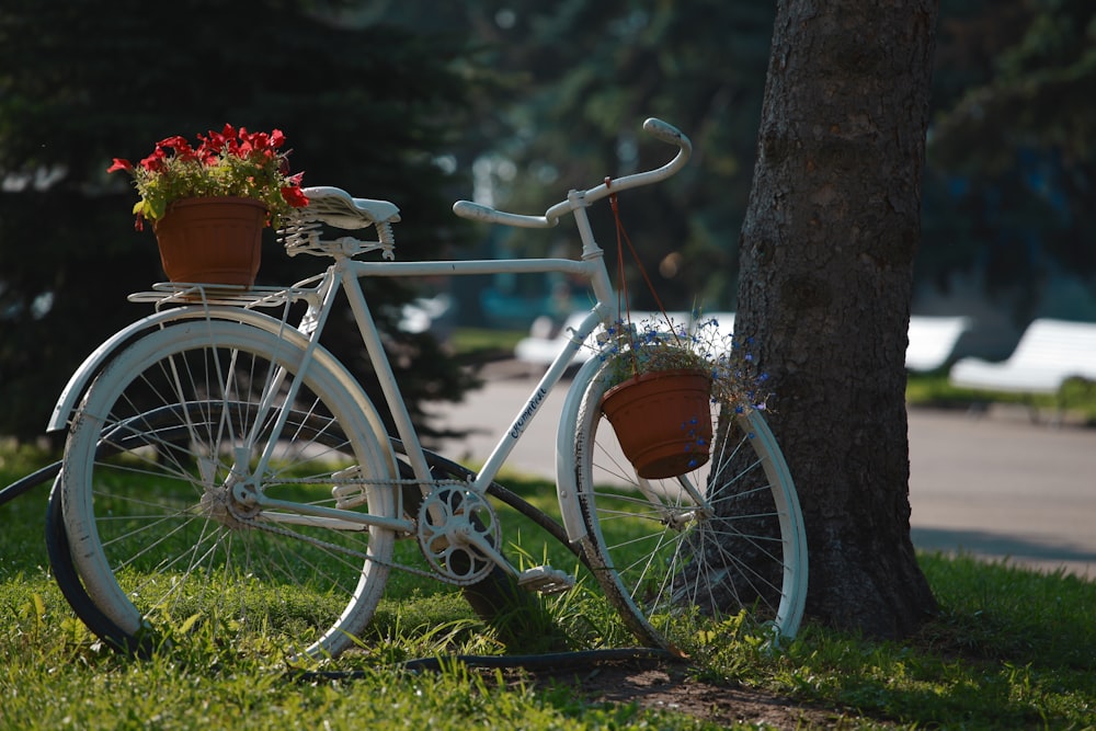 a bicycle is parked next to a tree