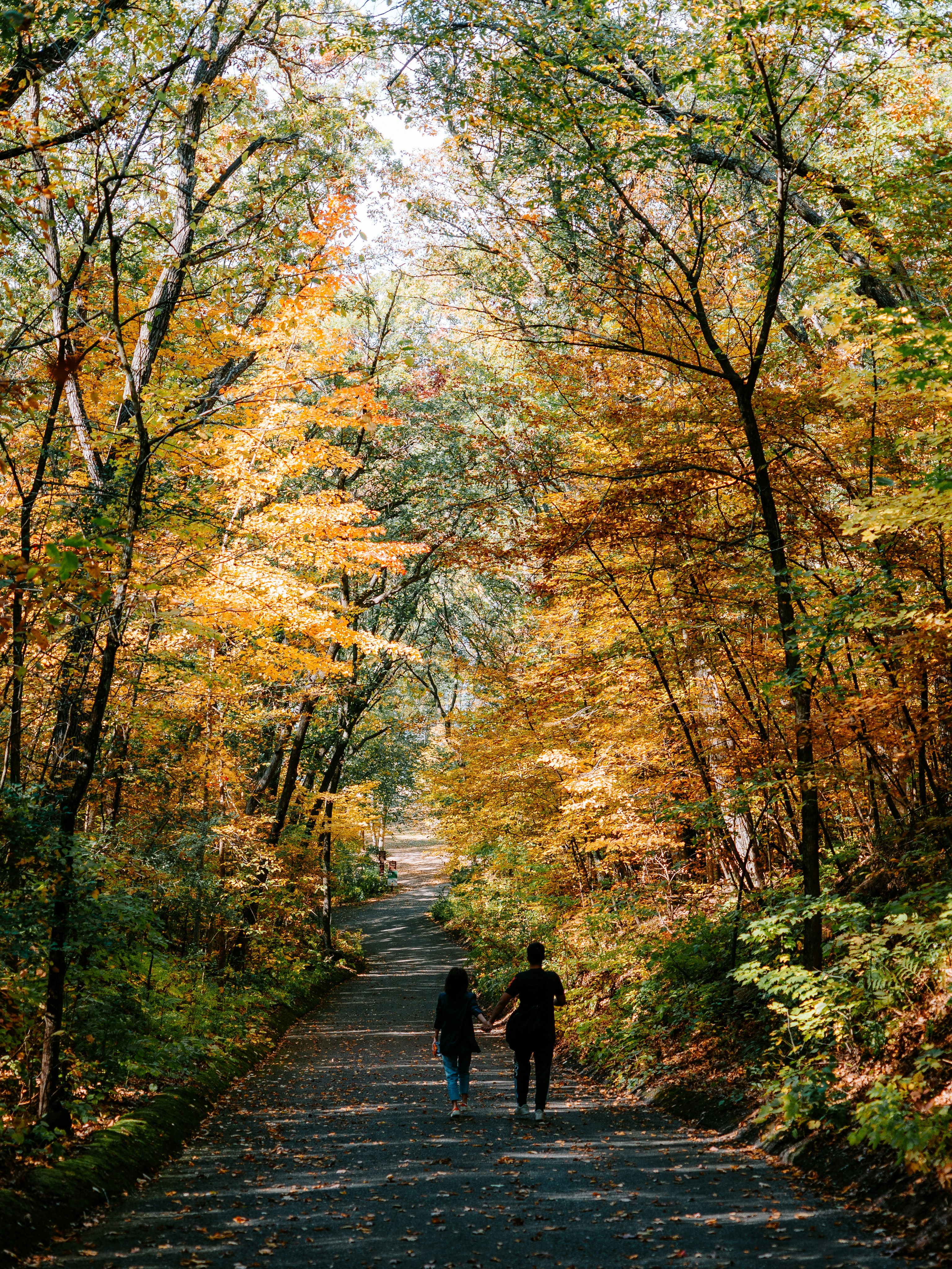 Photo by srakotoarivelo7