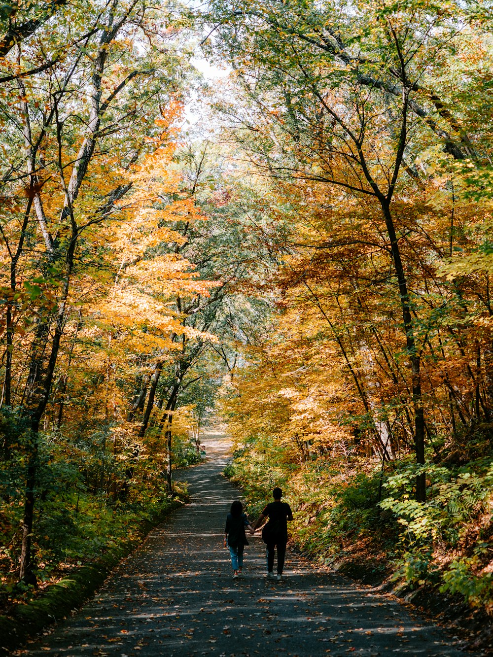 a couple people walking on a path in a forest