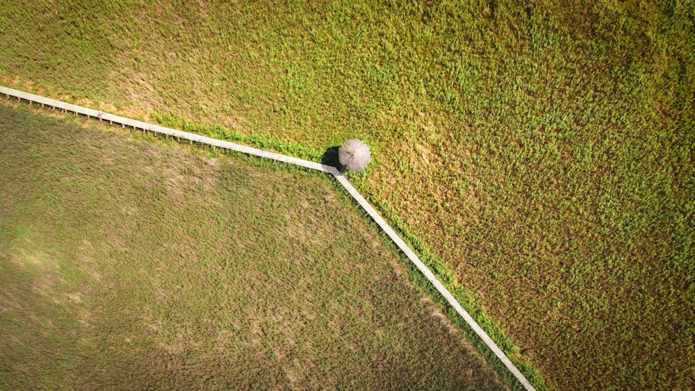 a football ball on a field