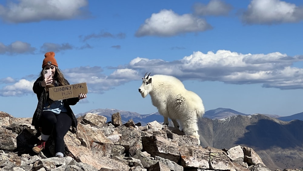 a person sitting on a rocky mountain with a white goat