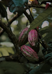 a tree with a flower