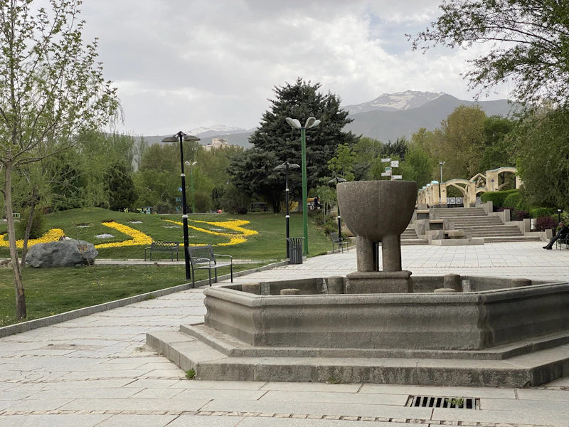 Best Free Things to Do in Medina That Cost Absolutely Nothing