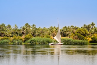 a sailboat on the water