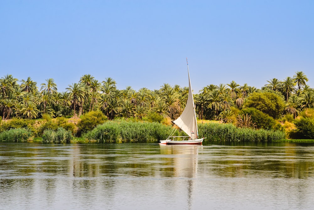 a sailboat on the water