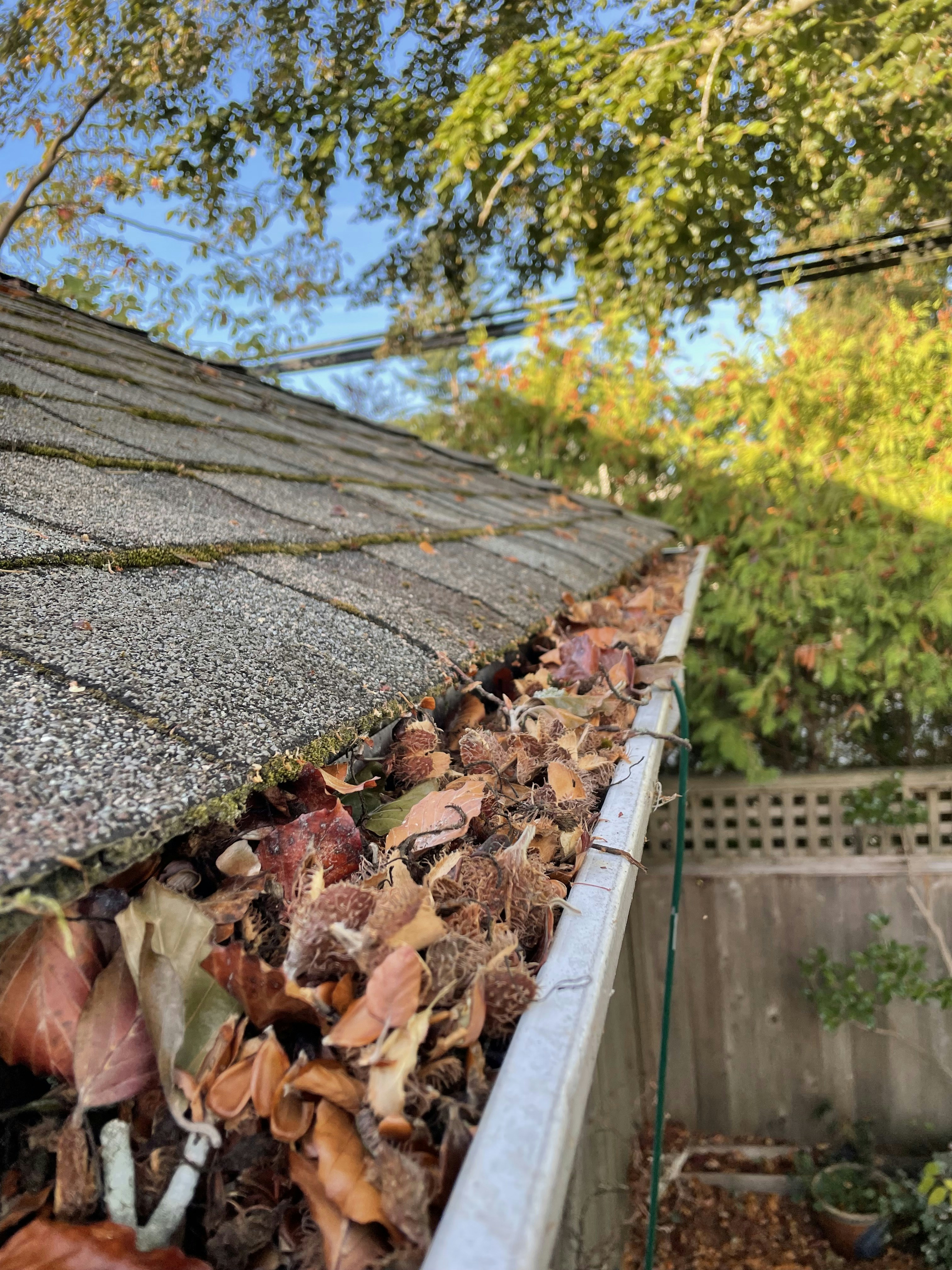 Clogged house gutters overflowing with wet leaves, twigs and debris, dark brown stains running down fascia board