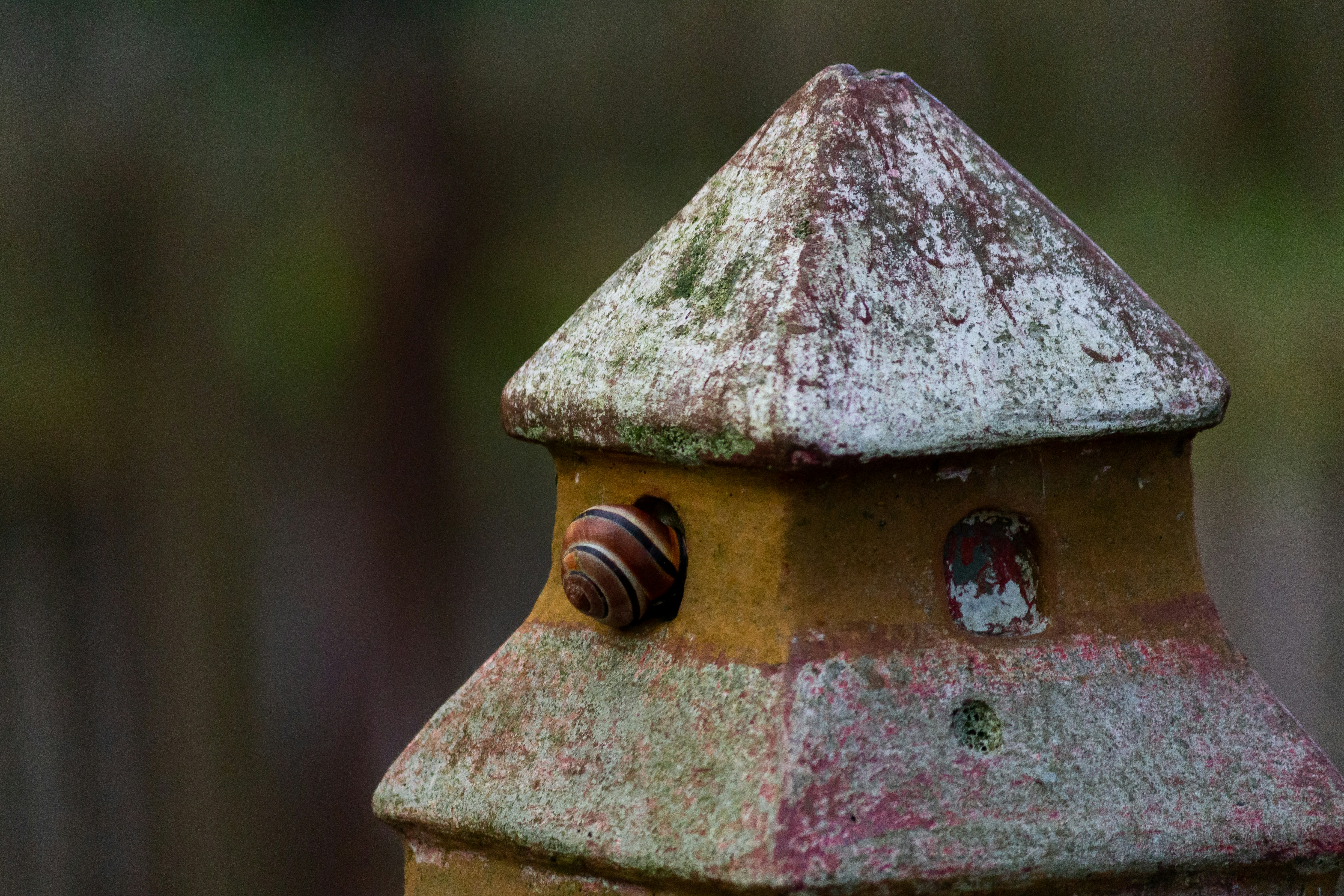 Photo by botalova_xenia