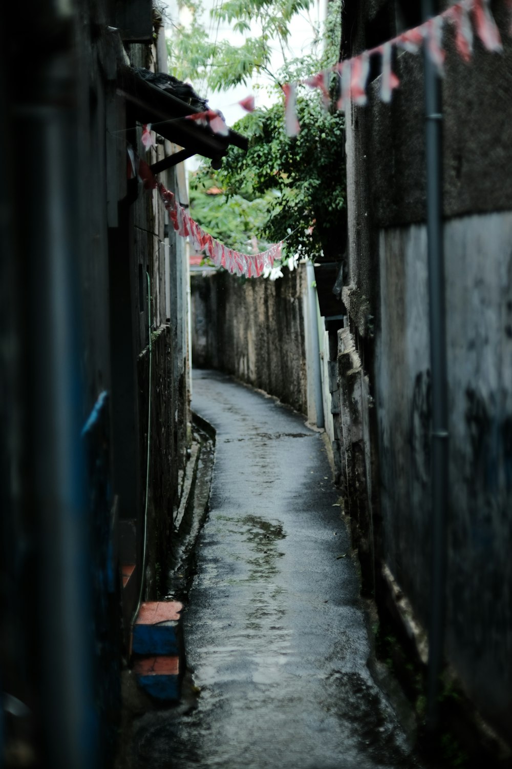 a narrow alley between buildings
