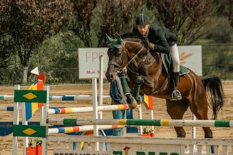 a person riding a horse over a jump